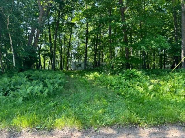 Tbd Tbd Walworth Road Emily, MN 56447 - Photo 15 of 22