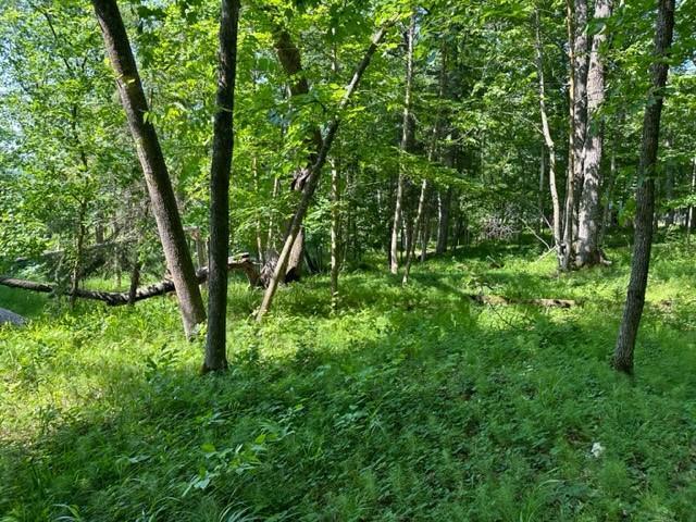 Tbd Tbd Walworth Road Emily, MN 56447 - Photo 16 of 22