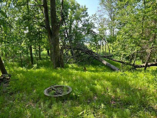 Tbd Tbd Walworth Road Emily, MN 56447 - Photo 17 of 22