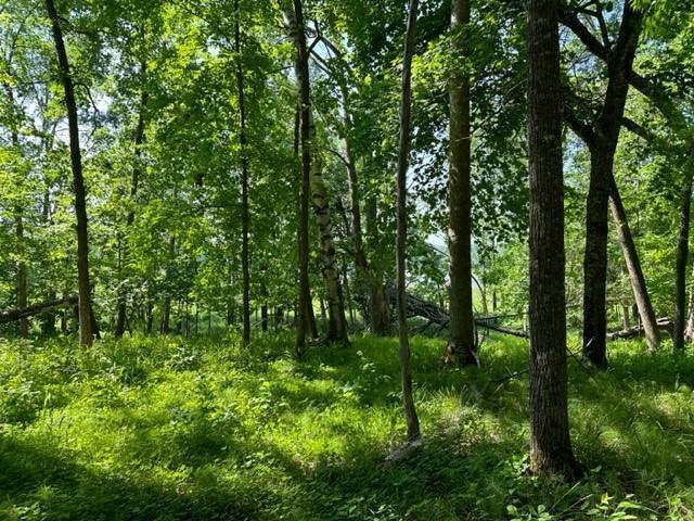 Tbd Tbd Walworth Road Emily, MN 56447 - Photo 18 of 22