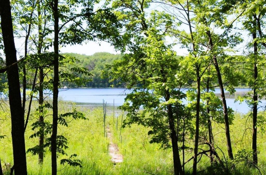 Tbd Tbd Walworth Road Emily, MN 56447 - Photo 3 of 22
