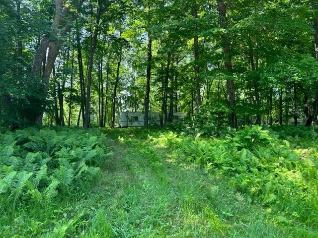 Tbd Tbd Walworth Road Emily, MN 56447 - Photo 6 of 22