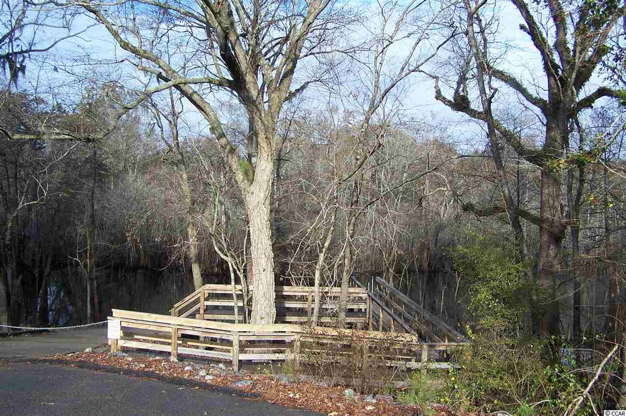 639 Beaver Pond Road Conway, SC 29526 - Photo 17 of 24 Gallery Image 17