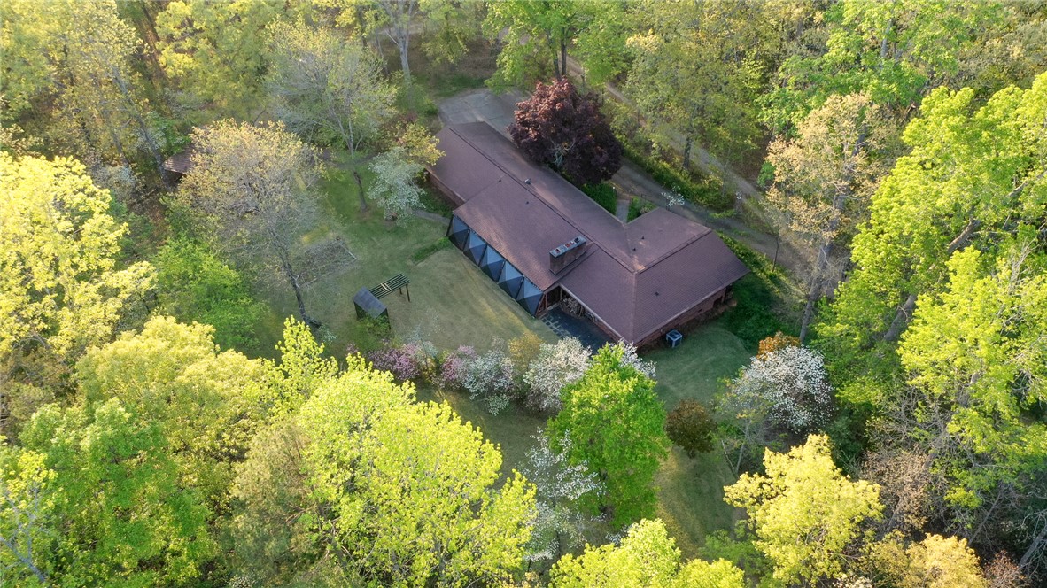 139 Todds Creek Road Central, SC 29630 - Photo 40 of 45 This aerial view showcases a home nestled amidst a vibrant green landscape.