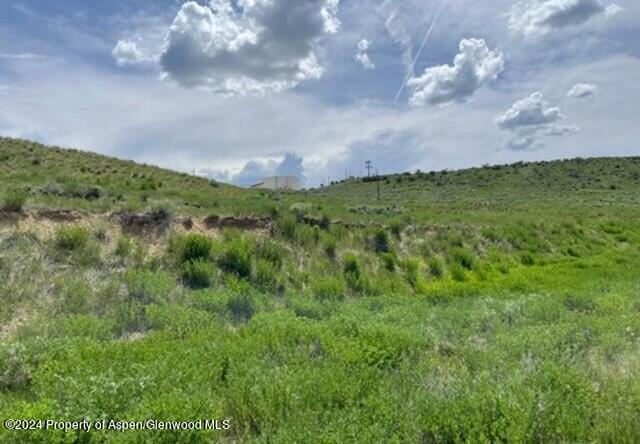 1155 Taylor Street Craig, CO 81625 - Photo 2 of 3 a view of a green field with lots of bushes