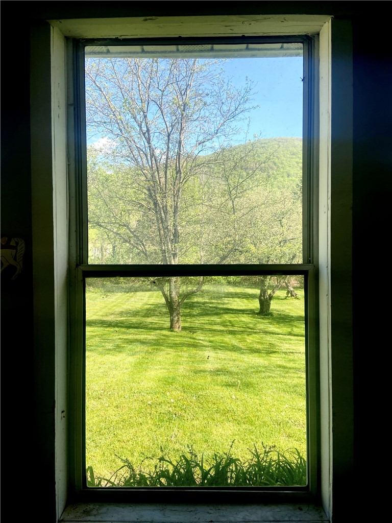 100 Hubbells Corner Road Roxbury, NY 12474 - Photo 14 of 31 Backyard view from Sunroom