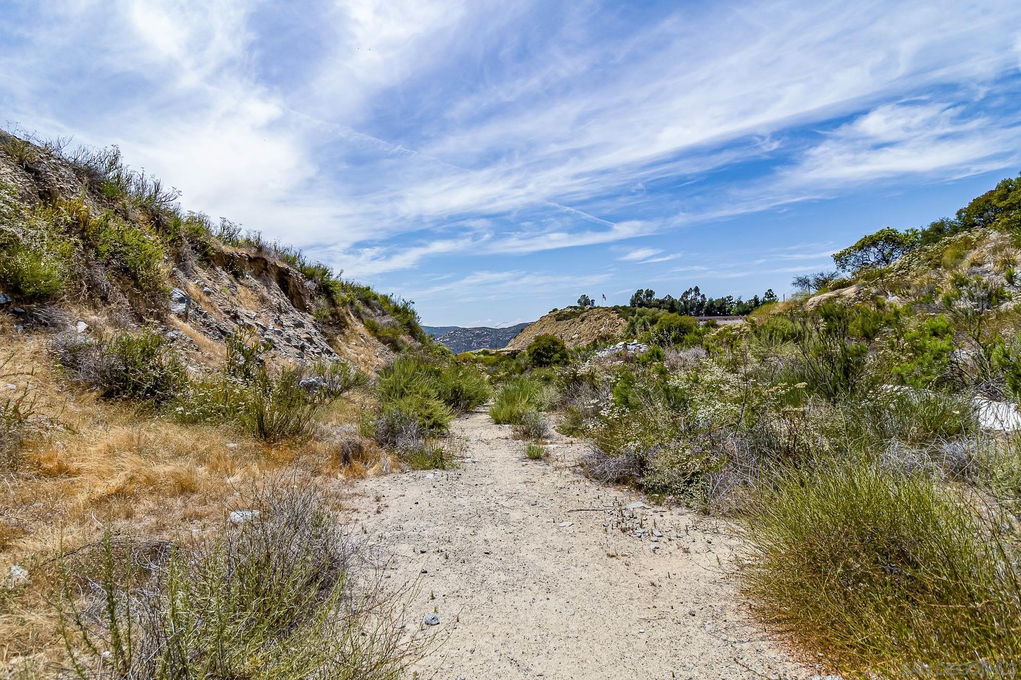 0 Alpine Boulevard Alpine, CA 91901 - Photo 16 of 28 a view of a field with trees in the background