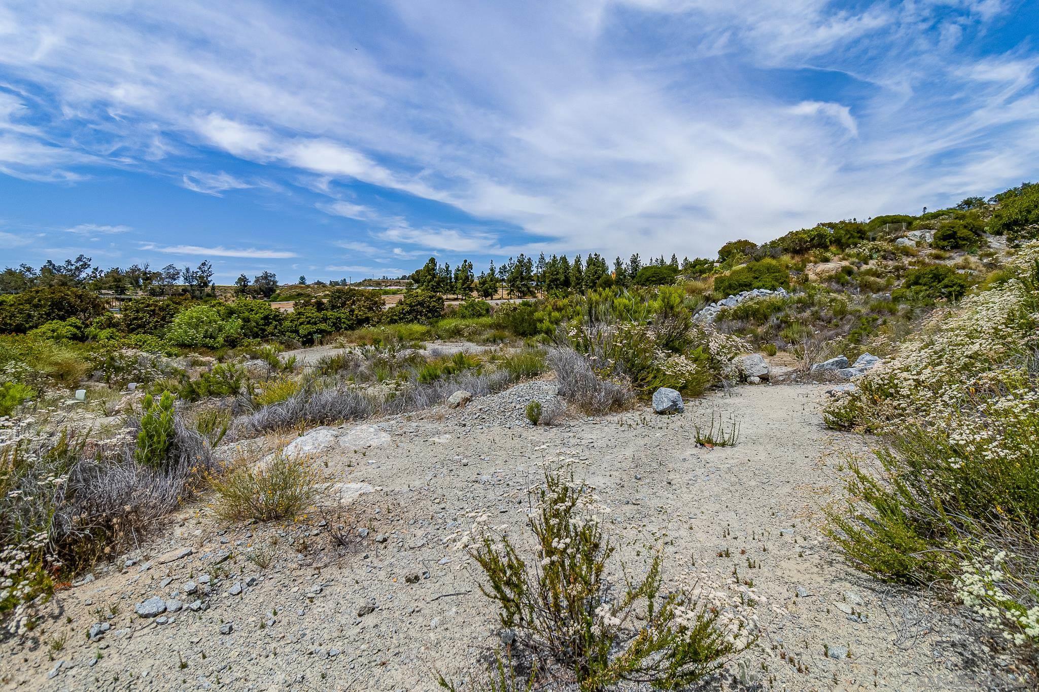 0 Alpine Boulevard Alpine, CA 91901 - Photo 22 of 28 a view of a dry yard with wooden fence