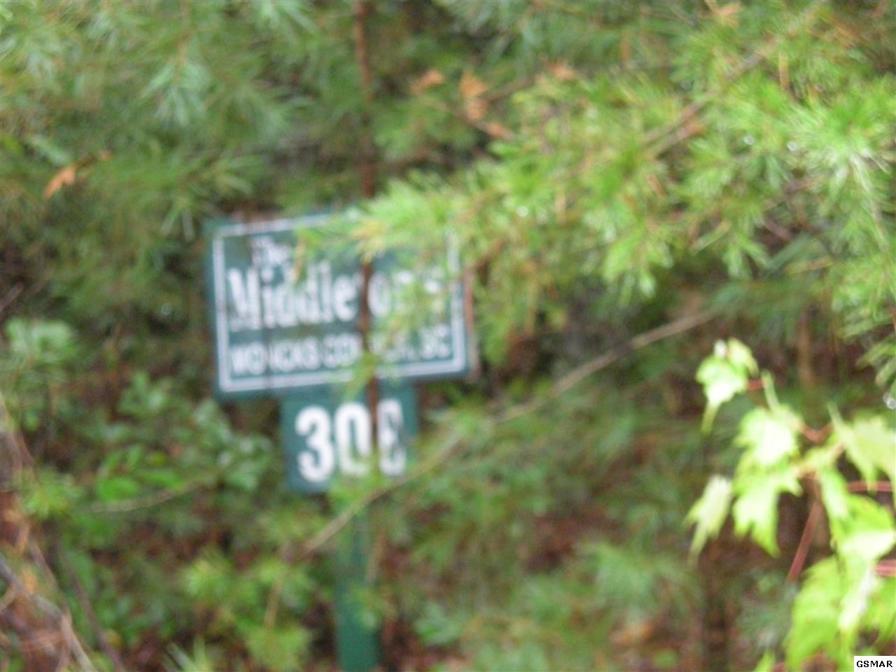 30 Harvest Moon Road Sevierville, TN 37862 - Photo 4 of 6 Gallery Image 4