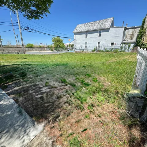 a view of a backyard with plants and a big yard