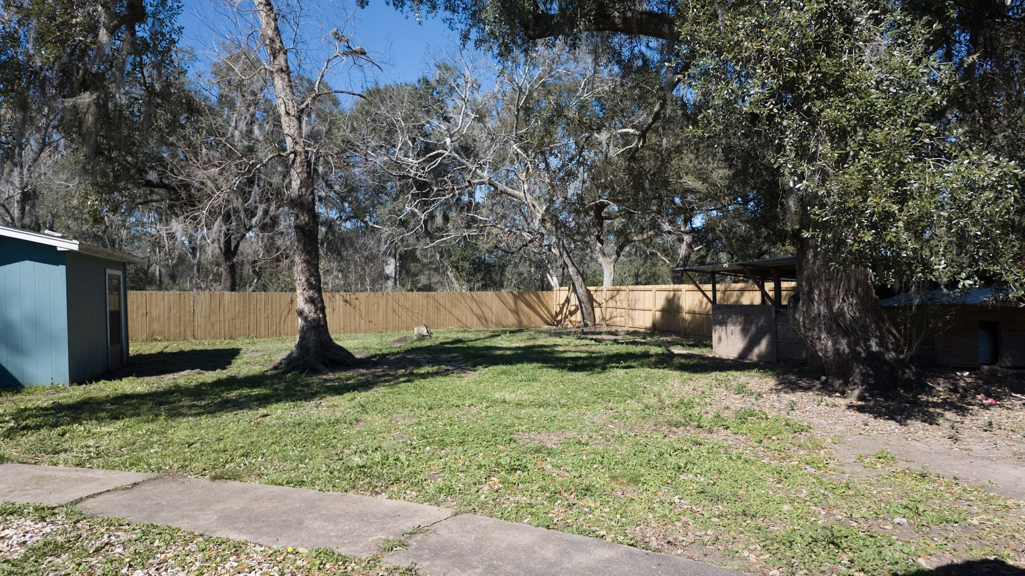 407 Tamarind Street Lake Jackson, TX 77566 - Photo 34 of 36 The photo shows a spacious backyard with a grassy area, mature trees, and a wooden fence for privacy. Ideal for outdoor activities and relaxation.