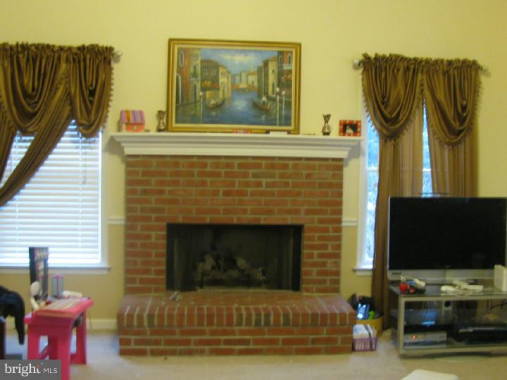 325 Long Ridge Lane Exton, PA 19341 - Photo 10 of 25 Fireplace