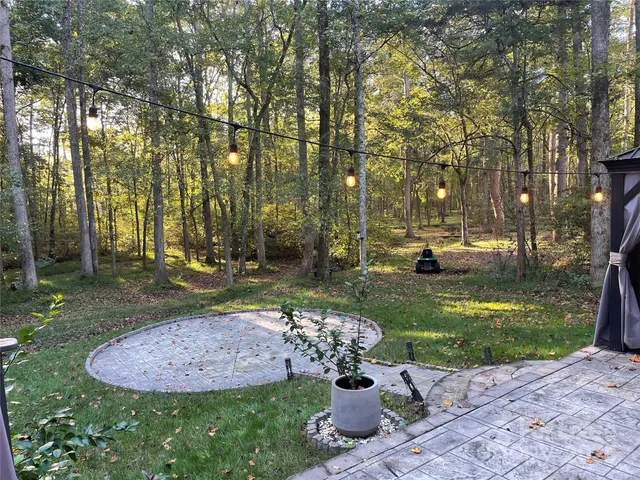 a view of a backyard with fountain plants and large tree