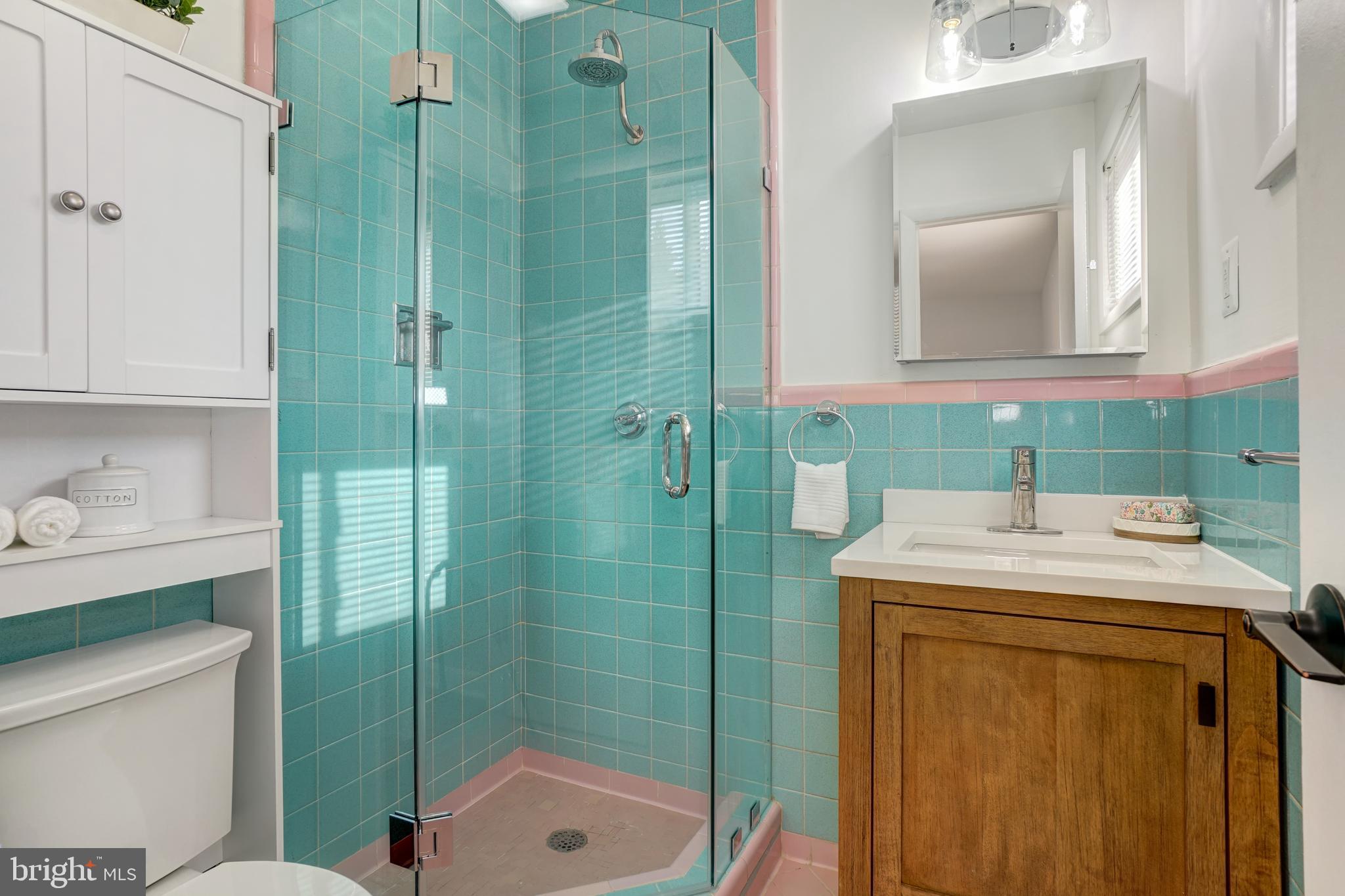 1446 Roxanna Road Northwest Washington, DC 20012 - Photo 15 of 34 a bathroom with a sink a toilet and shower