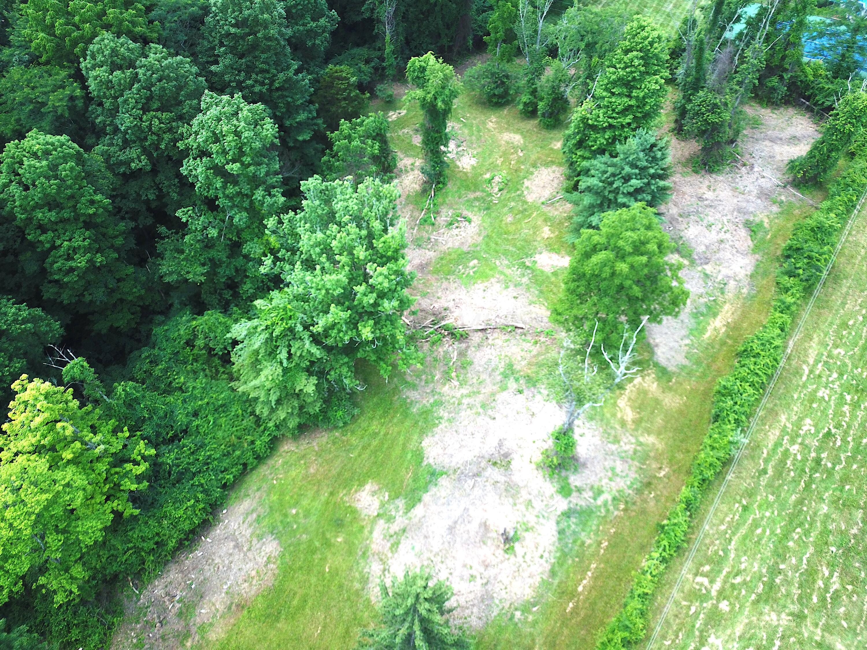 8870 Olentangy River Road Powell, OH 43065 - Photo 17 of 61 DJI_0942