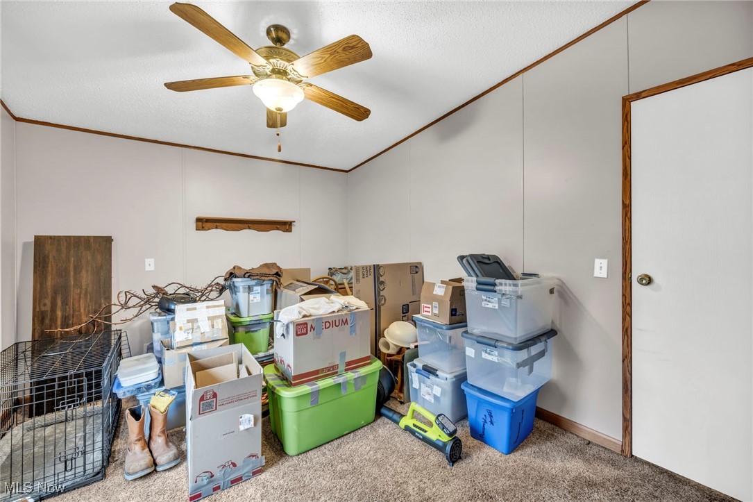 27202 Cook Road, Unit 95 Olmsted Falls, OH 44138 - Photo 31 of 46 Storage room with ceiling fan