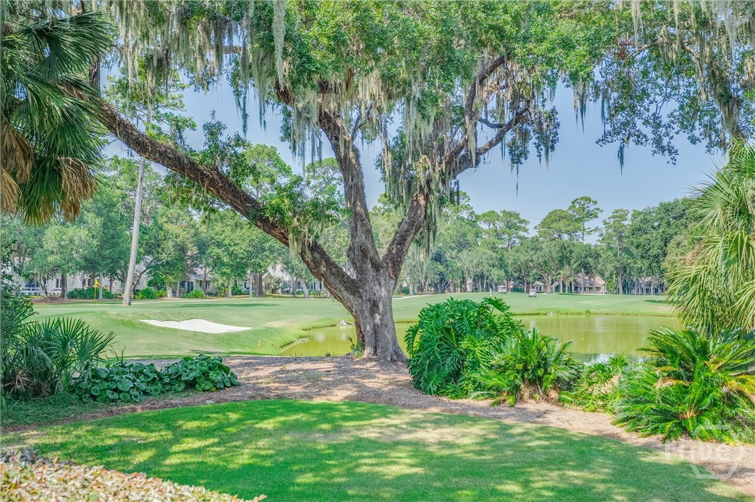 198 Yam Gandy Road Savannah, GA 31411 - Photo 55 of 62