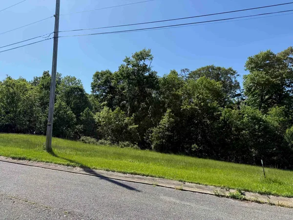 $41,000 | Lot #19 Meadow Glen Road, Greenup, KY 41144