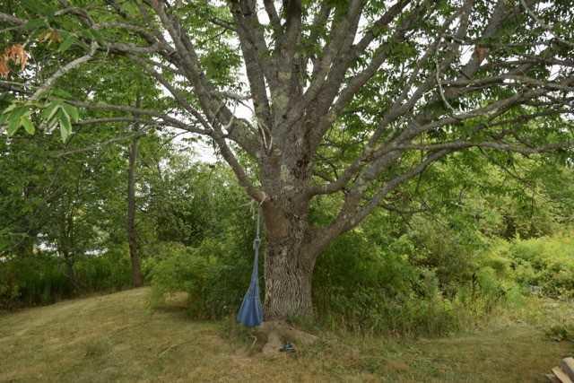 1639 Castine Road Penobscot, ME 04476 - Photo 35 of 51 download (34)