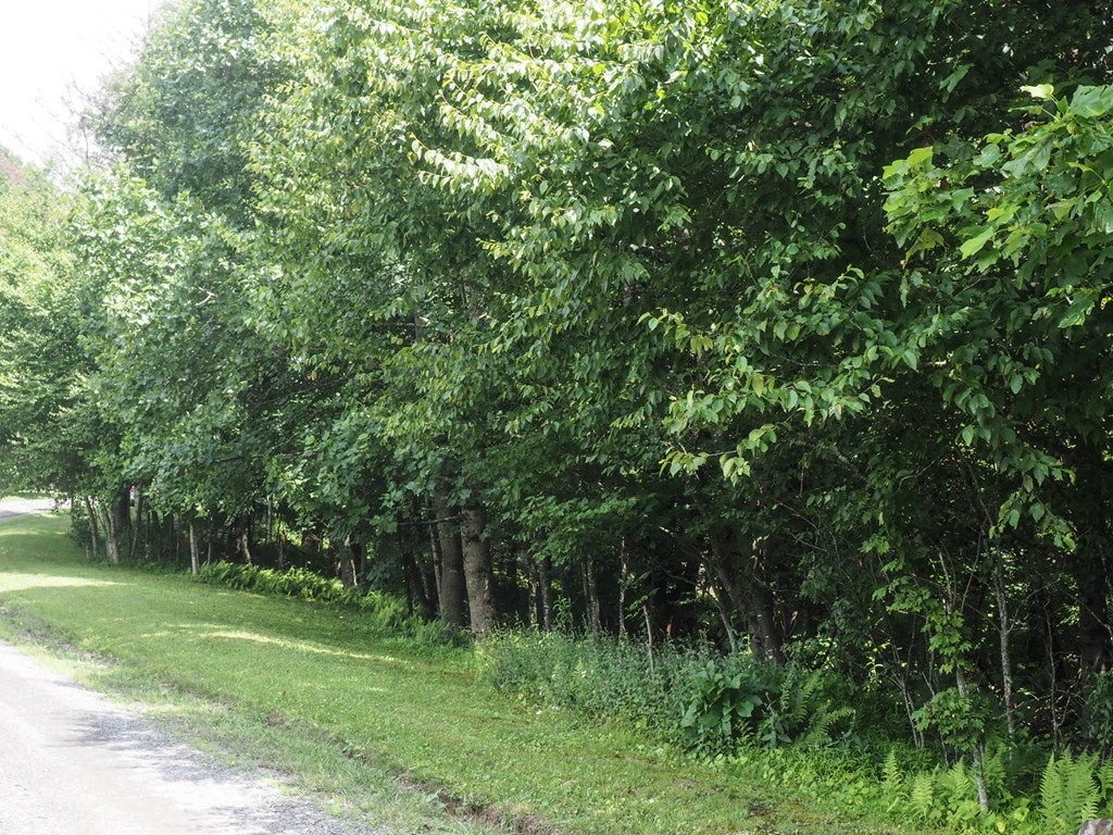 Tbd County Top Road, Unit 37 Fancy Gap, VA 24328 - Photo 2 of 4 Gallery Image 2
