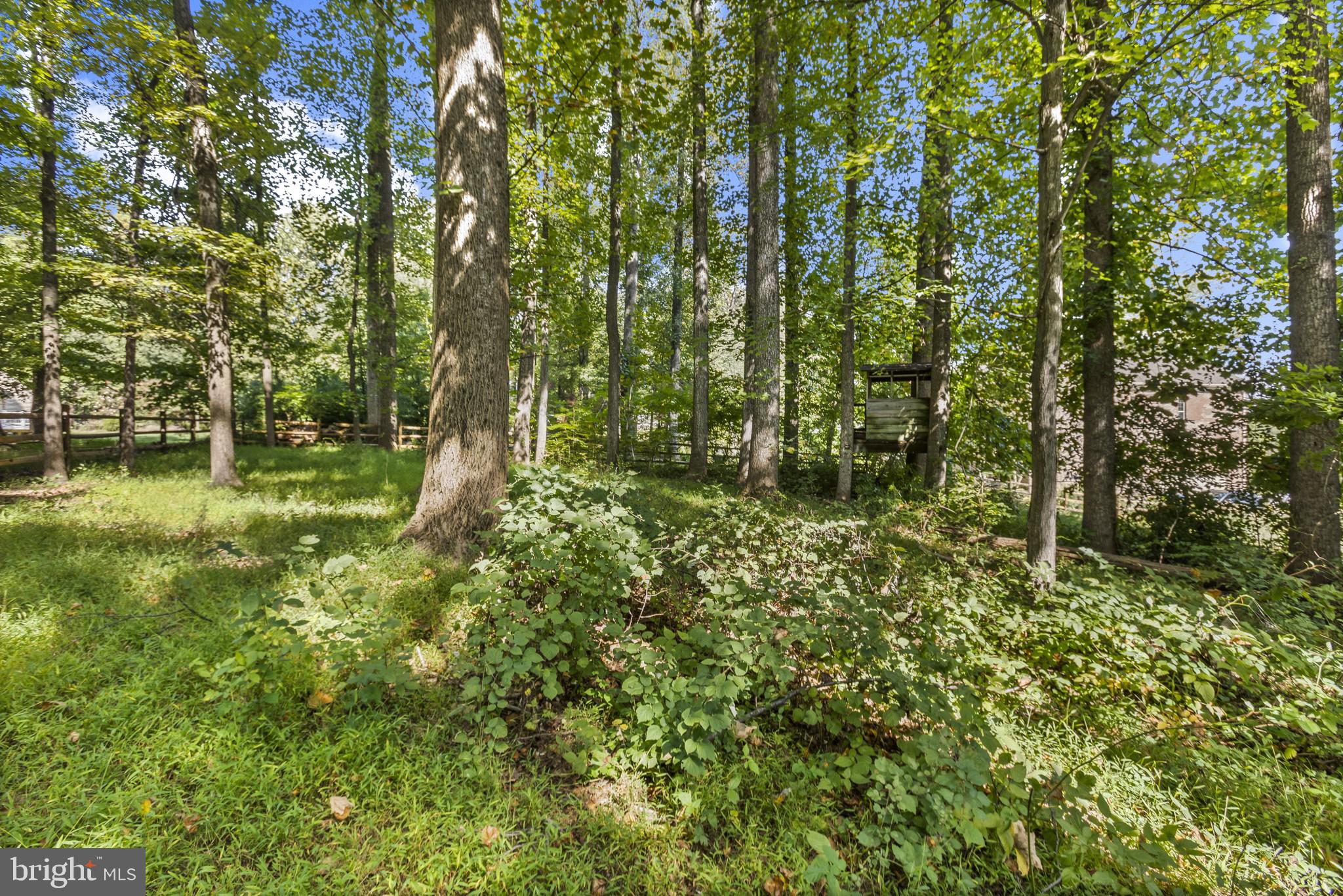 1112 Utterback Store Road Great Falls, VA 22066 - Photo 28 of 32 Tree House!