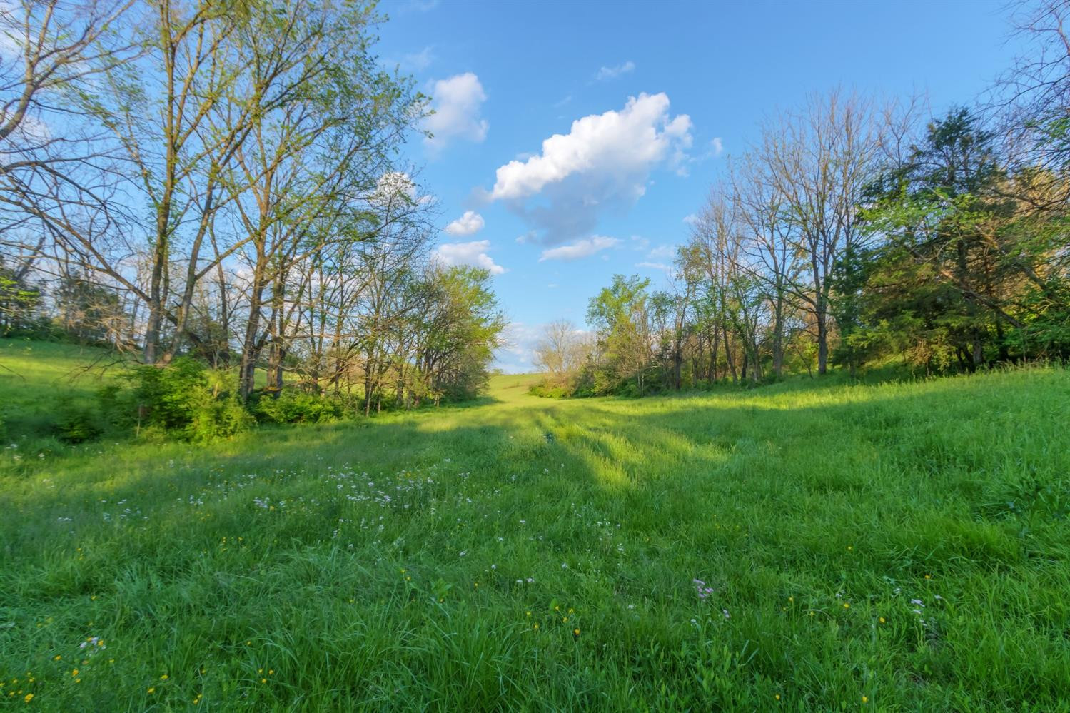 4572 Ecton Road Winchester, KY 40391 - Photo 53 of 69 Photo 53
