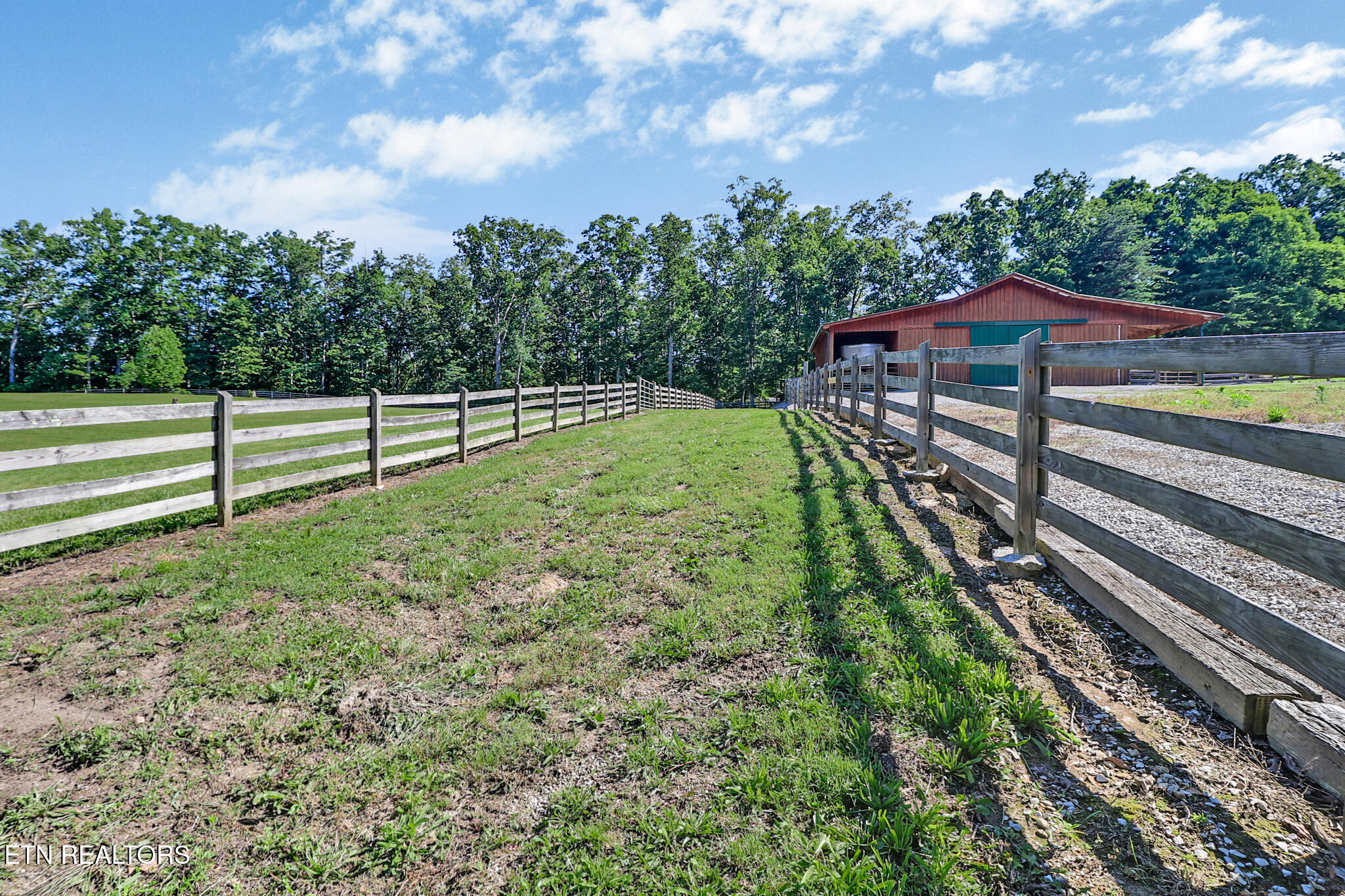 101 Duncan Hinds Road Jamestown, TN 38556 - Photo 30 of 59 Pasture3