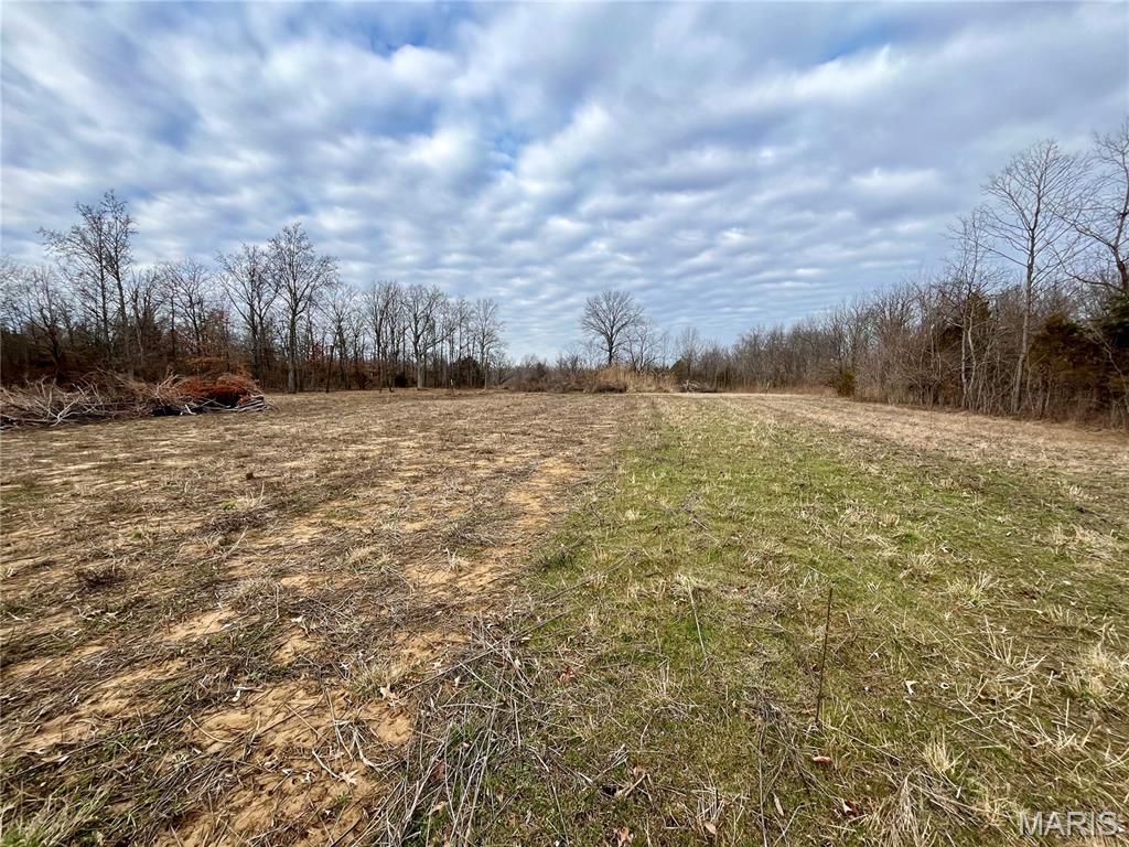 0 Jolliff Bridge Road Centralia, IL 62801 - Photo 12 of 17