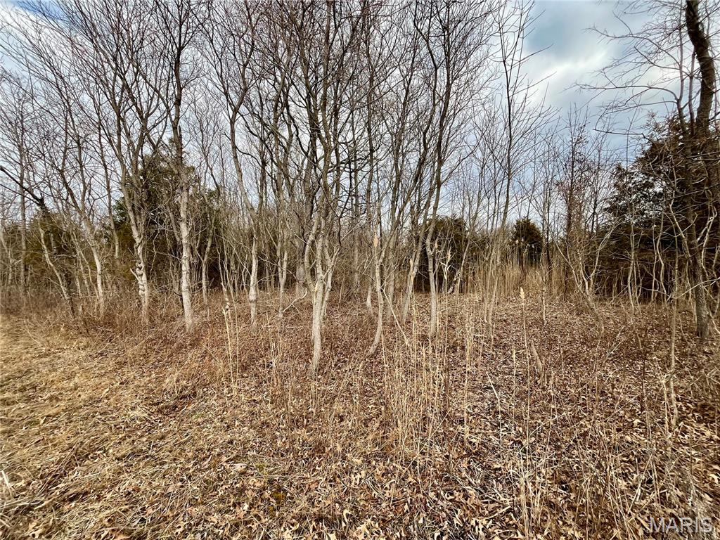 0 Jolliff Bridge Road Centralia, IL 62801 - Photo 13 of 17