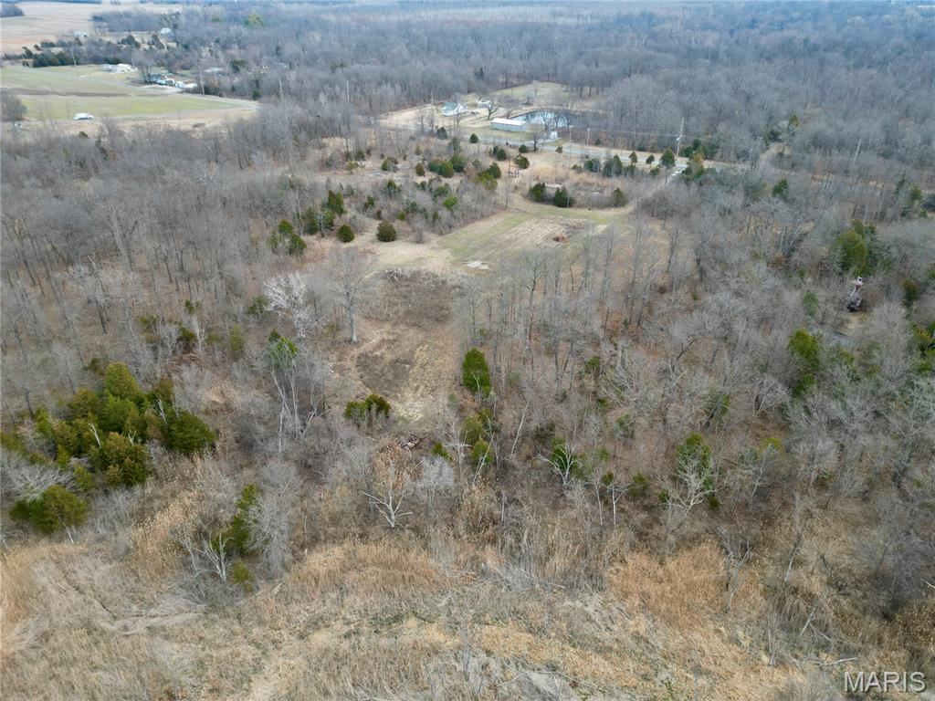 0 Jolliff Bridge Road Centralia, IL 62801 - Photo 14 of 17