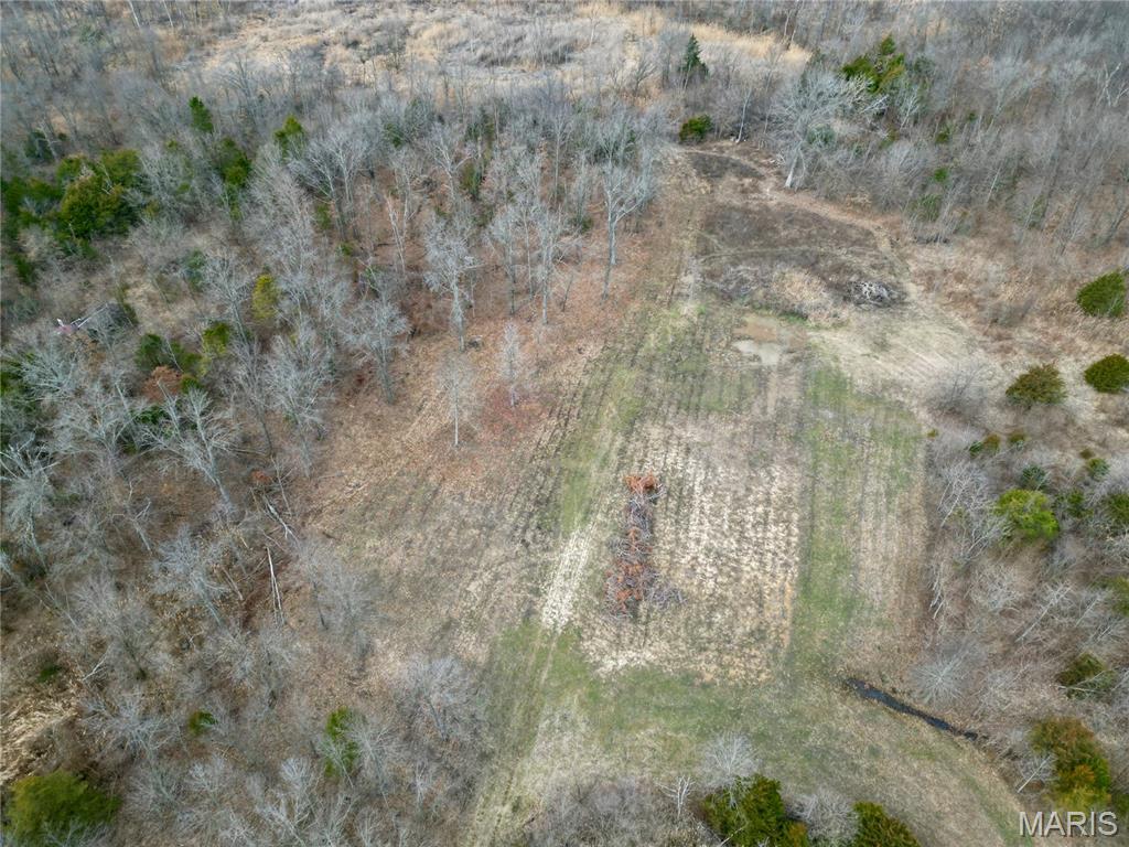 0 Jolliff Bridge Road Centralia, IL 62801 - Photo 6 of 17