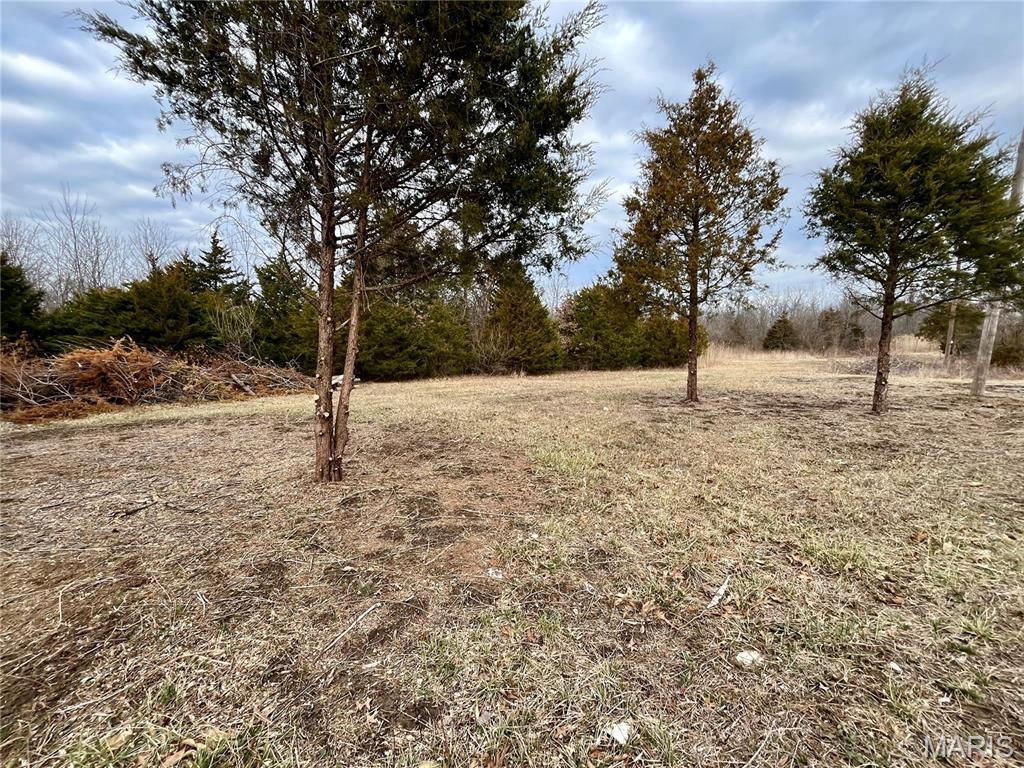 0 Jolliff Bridge Road Centralia, IL 62801 - Photo 8 of 17