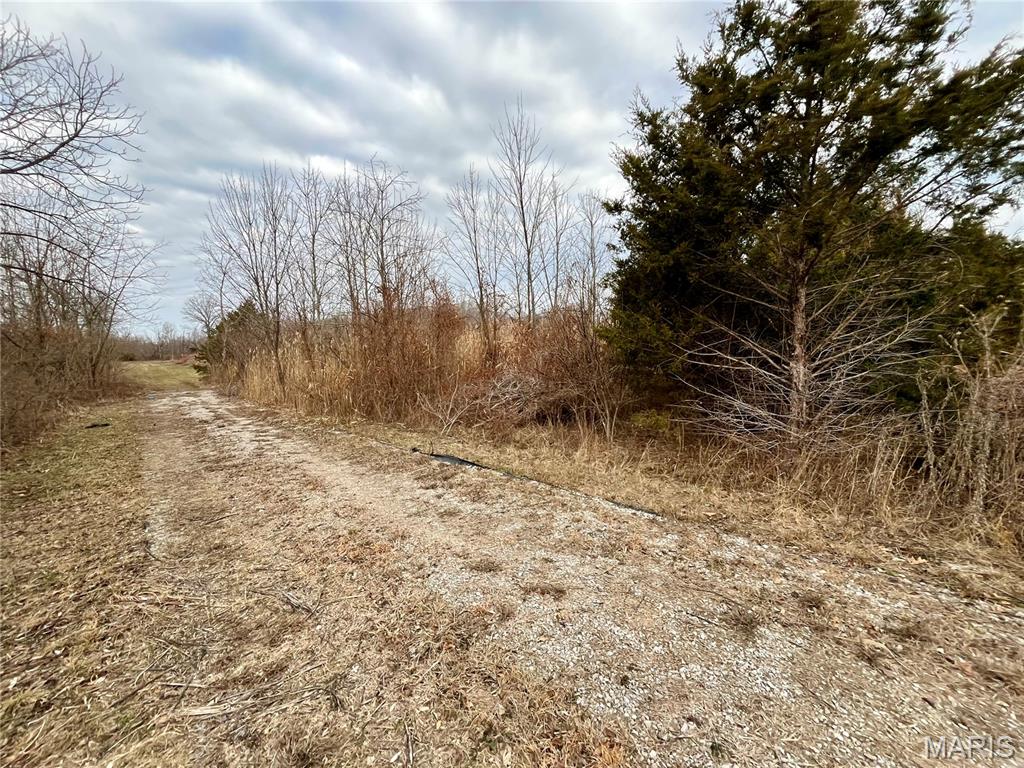 0 Jolliff Bridge Road Centralia, IL 62801 - Photo 9 of 17