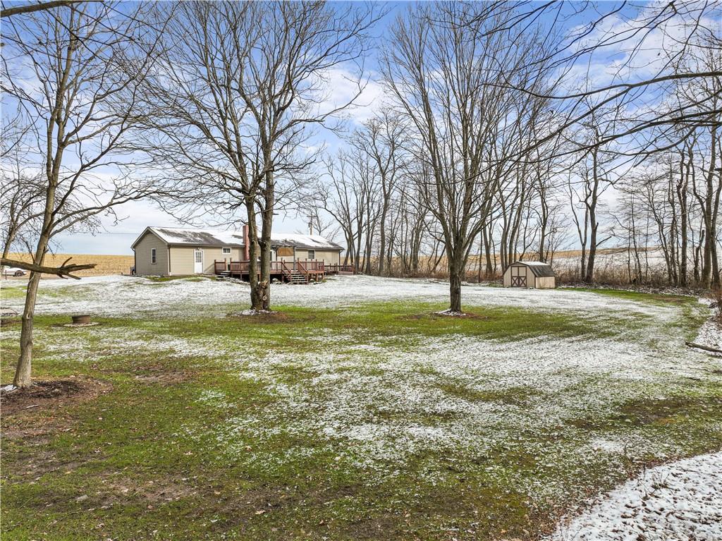 261 Casselman Road Markleton, PA 15551 - Photo 8 of 42 a view of a yard with a tree