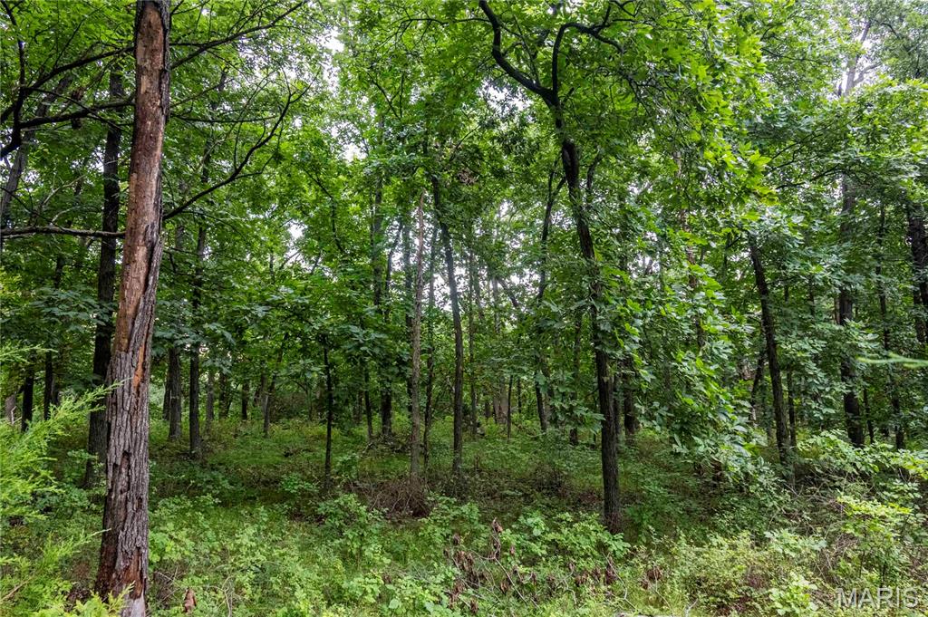 0 293 County Road Kahoka, MO 63445 - Photo 61 of 65 Gallery Image 61