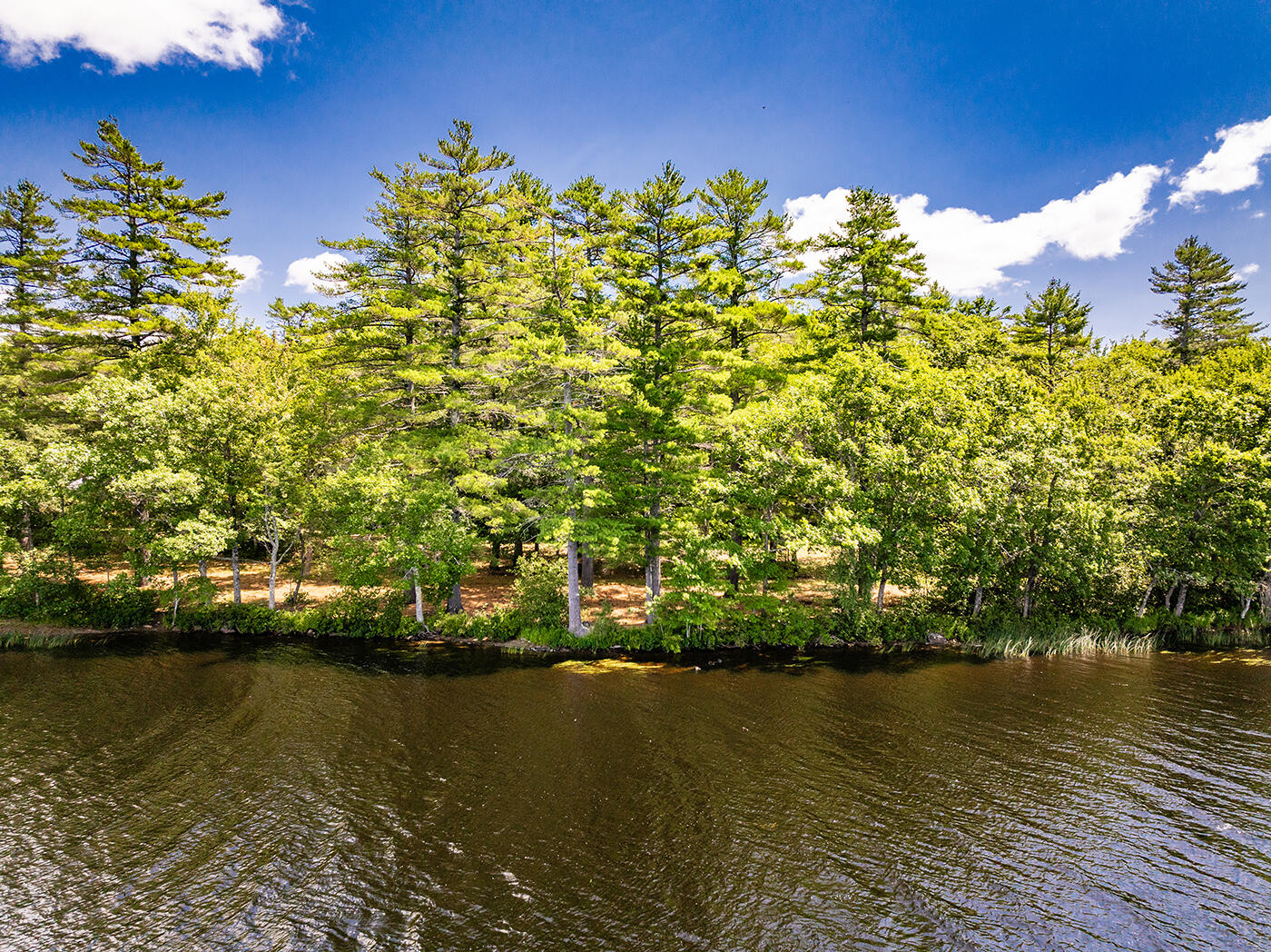 Lot 3 Aldus Shores Road Searsmont, ME 04973 - Photo 2 of 12