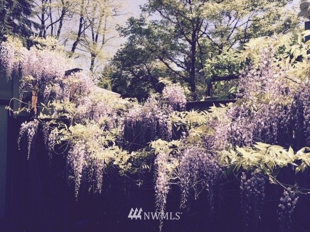 $800,000 | 8104 134th Place Northeast, Redmond, WA 98052