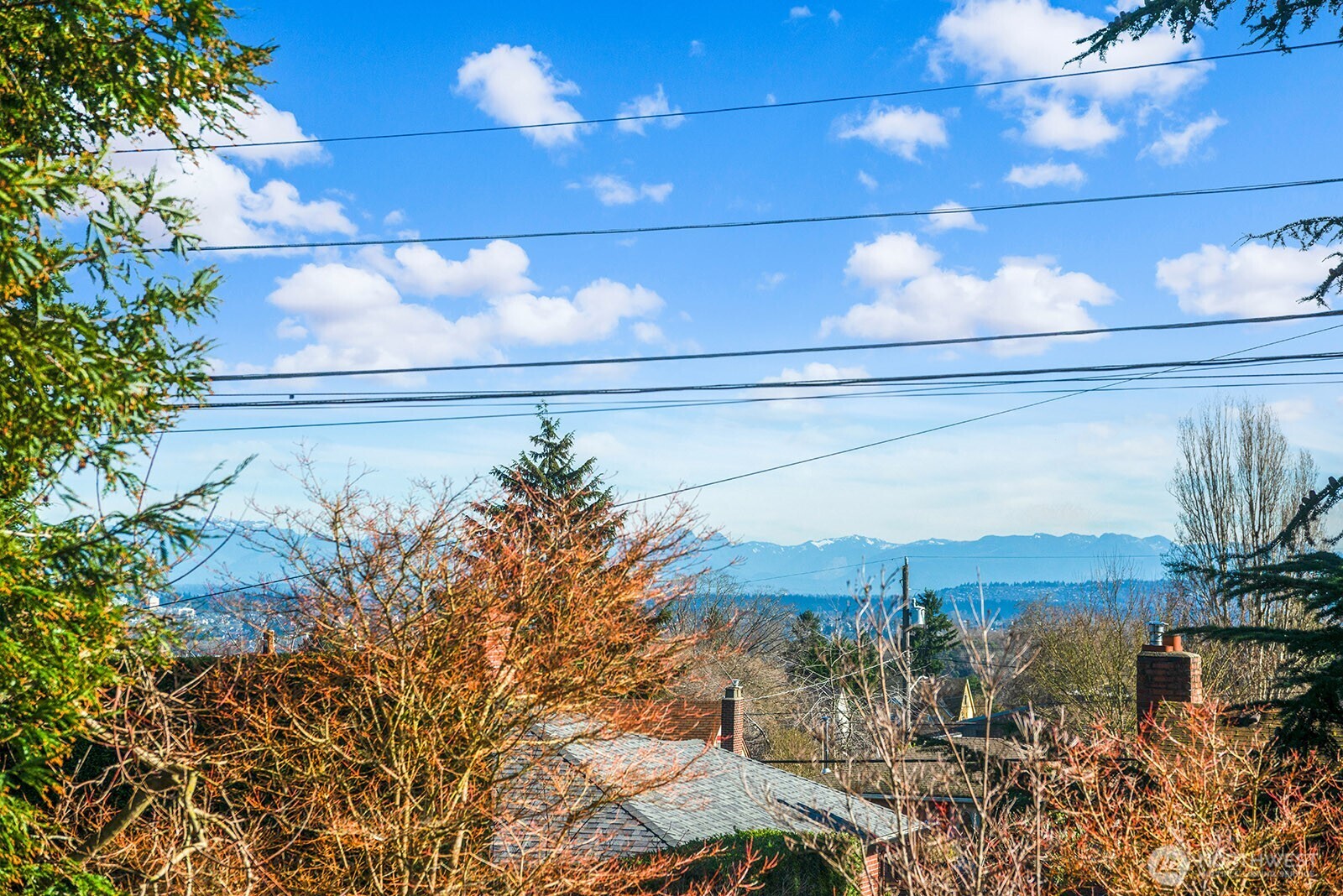 6750 36th Avenue Southwest Seattle, WA 98126 - Photo 17 of 38 Gallery Image 17