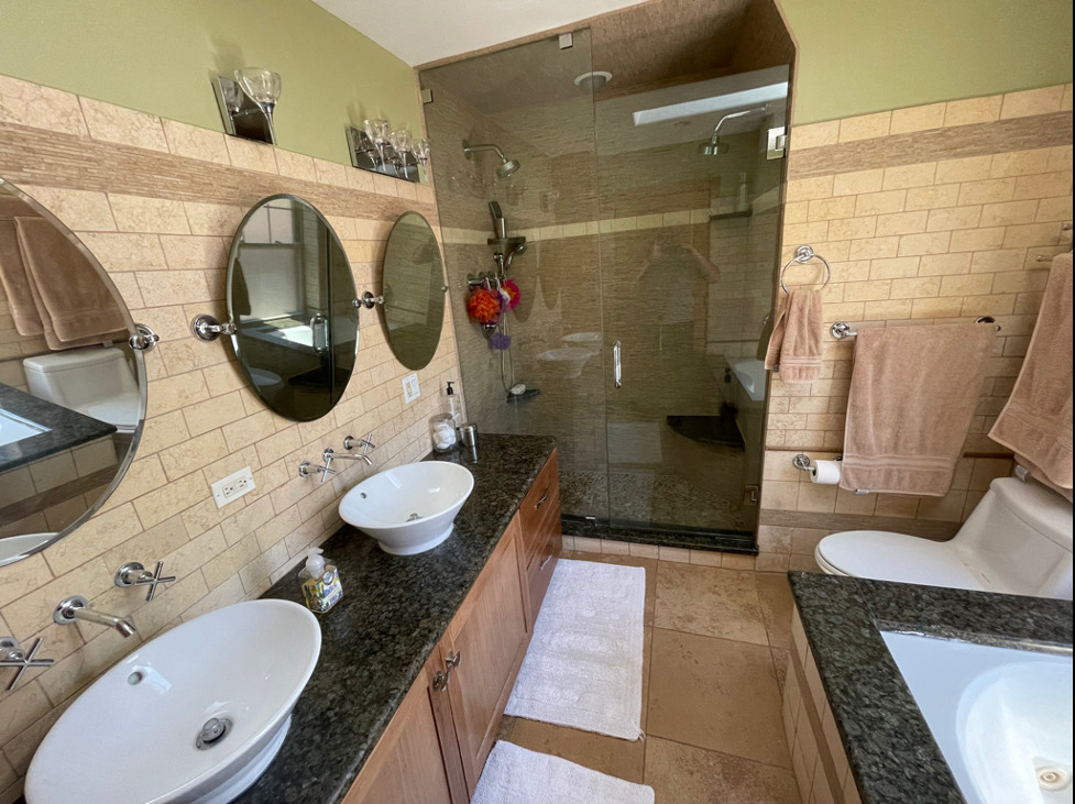 420 North Washington Avenue Park Ridge, IL 60068 - Photo 21 of 36 a bathroom with a granite countertop sink a mirror and shower