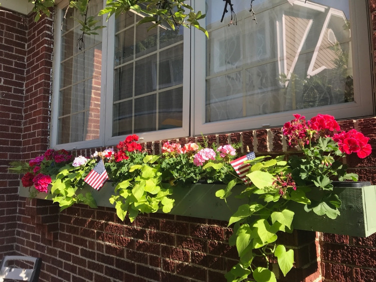 420 North Washington Avenue Park Ridge, IL 60068 - Photo 29 of 36 a flower vase with flowers and flowers