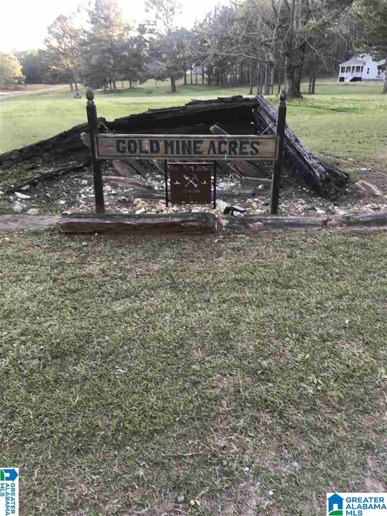 Lot 40 County Road 928, Unit 40 Delta, AL 36258 - Photo 1 of 1