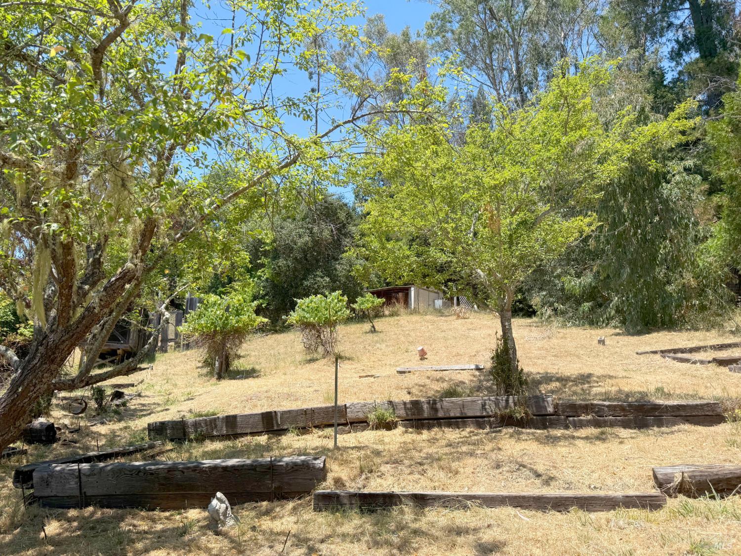 8900 Surprise Valley Road Comptche, CA 95427 - Photo 15 of 29