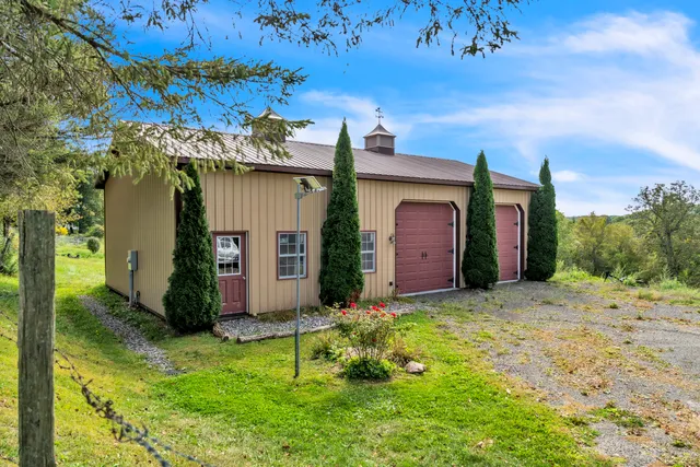 a view of a yard with a tree