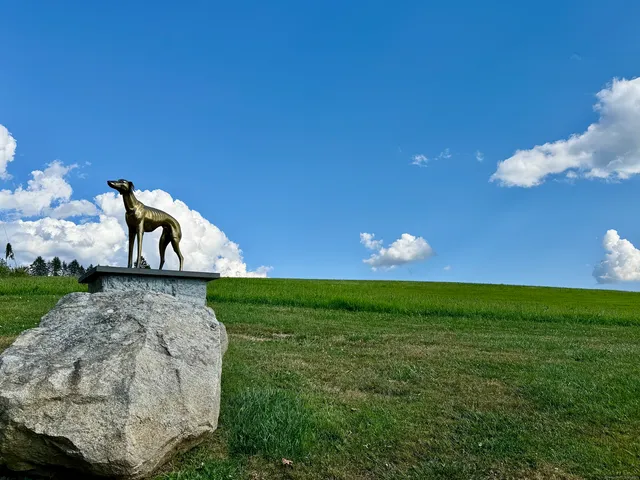 a view of a garden from a bench