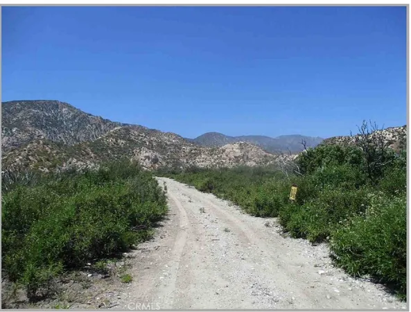 a view of a mountain range with a forest