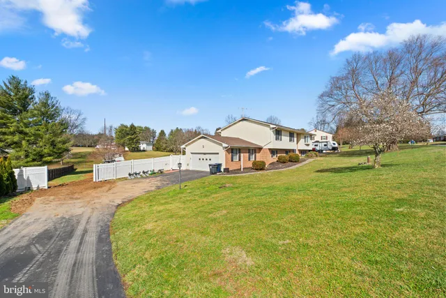 a view of a park with large trees