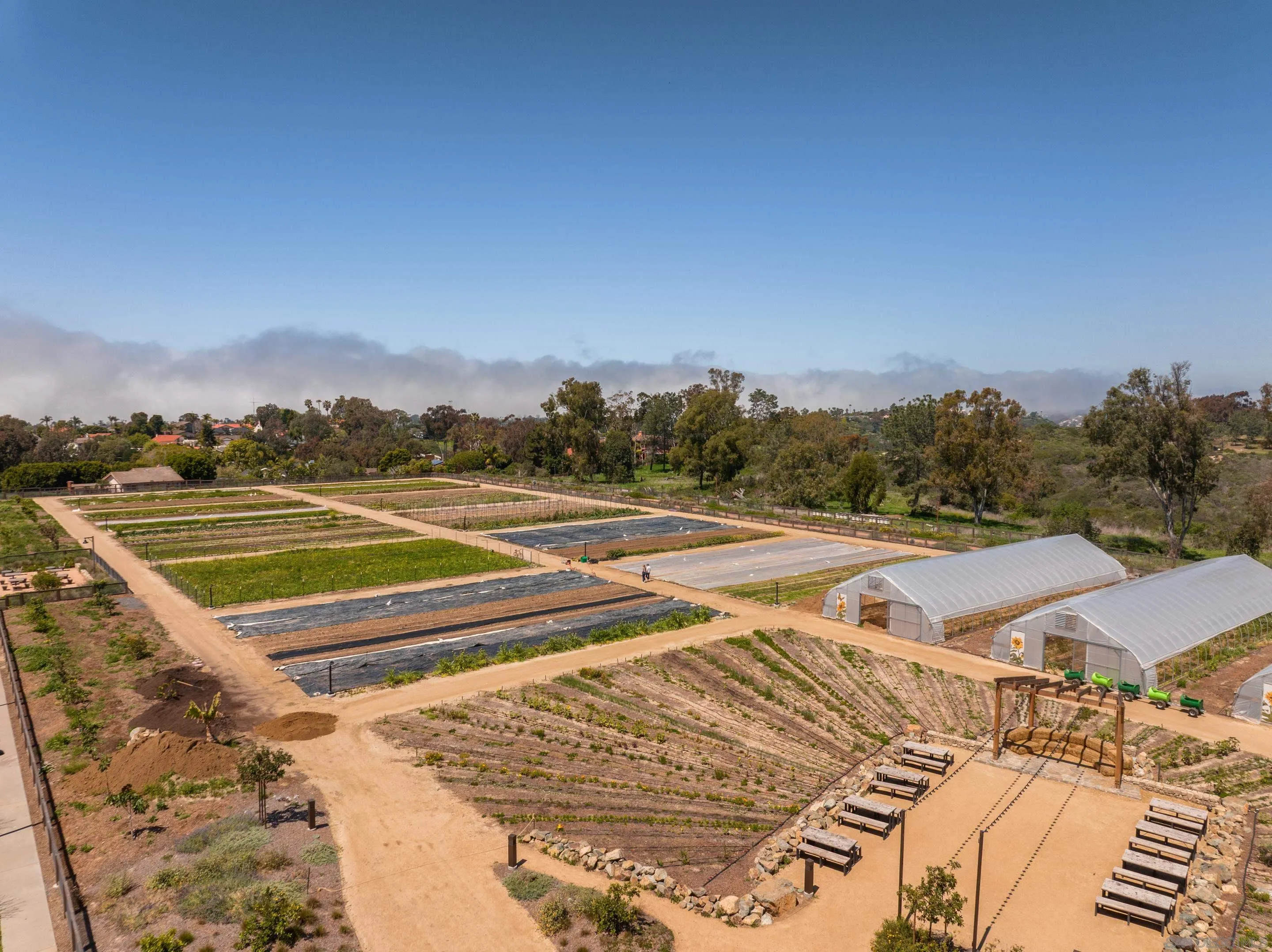 1301 Bergamo Place, Unit 101 Encinitas, CA 92024 - Photo 38 of 43 a view of swimming pool with an ocean view