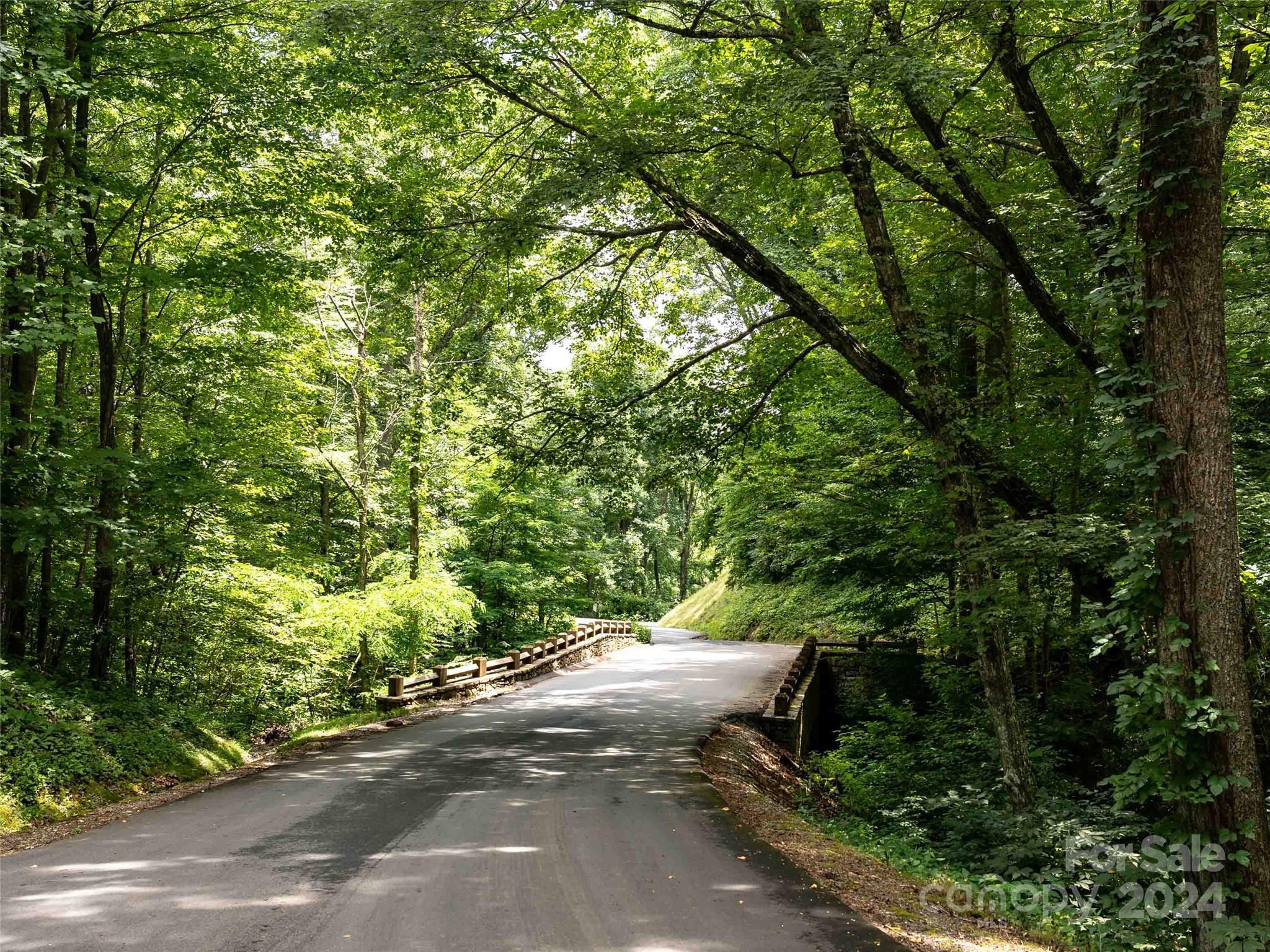 32 Tapestry Trail Waynesville, NC 28785 - Photo 13 of 27 a view of a street with a tree