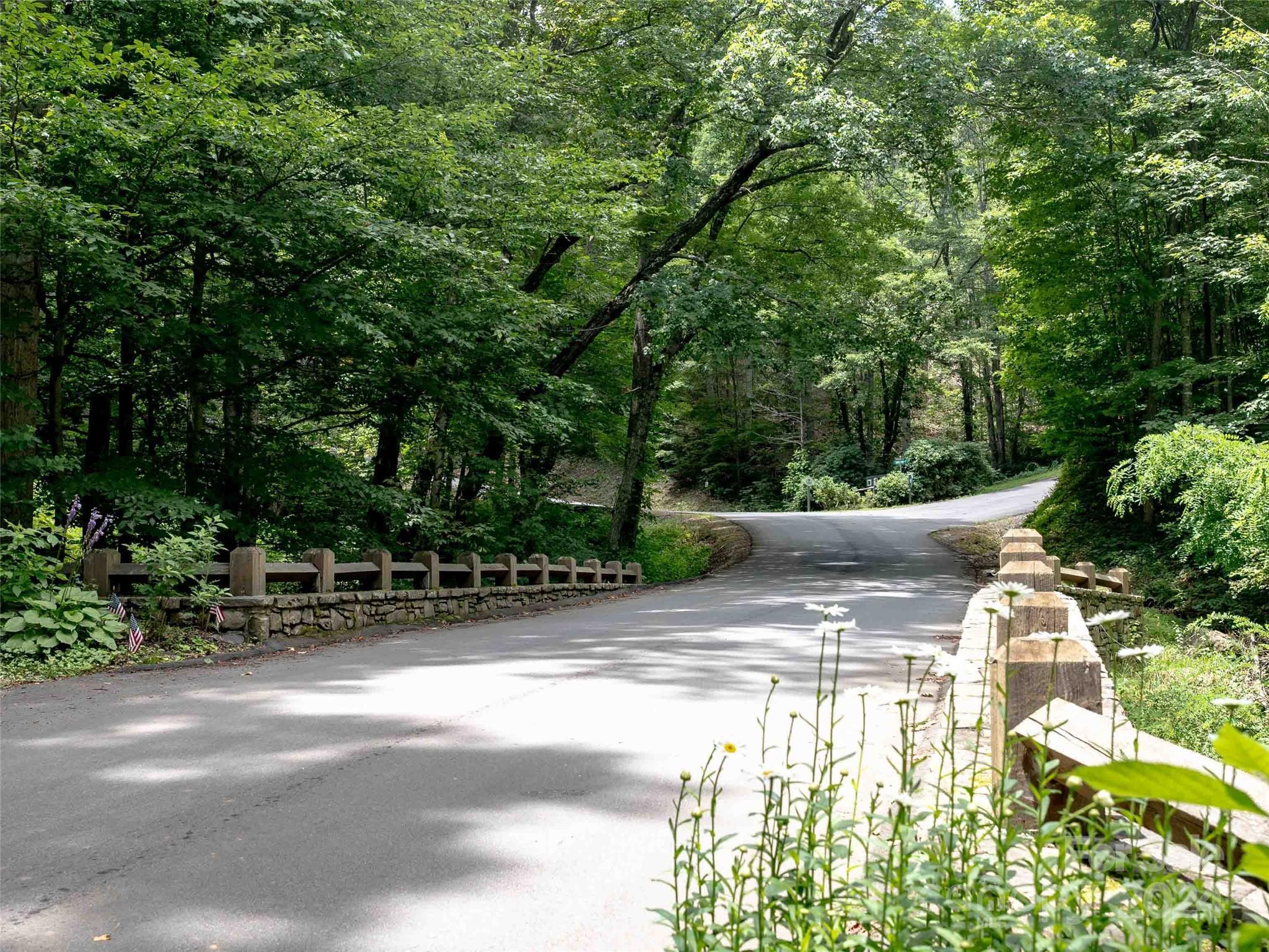 32 Tapestry Trail Waynesville, NC 28785 - Photo 14 of 27 a view of a road with a yard