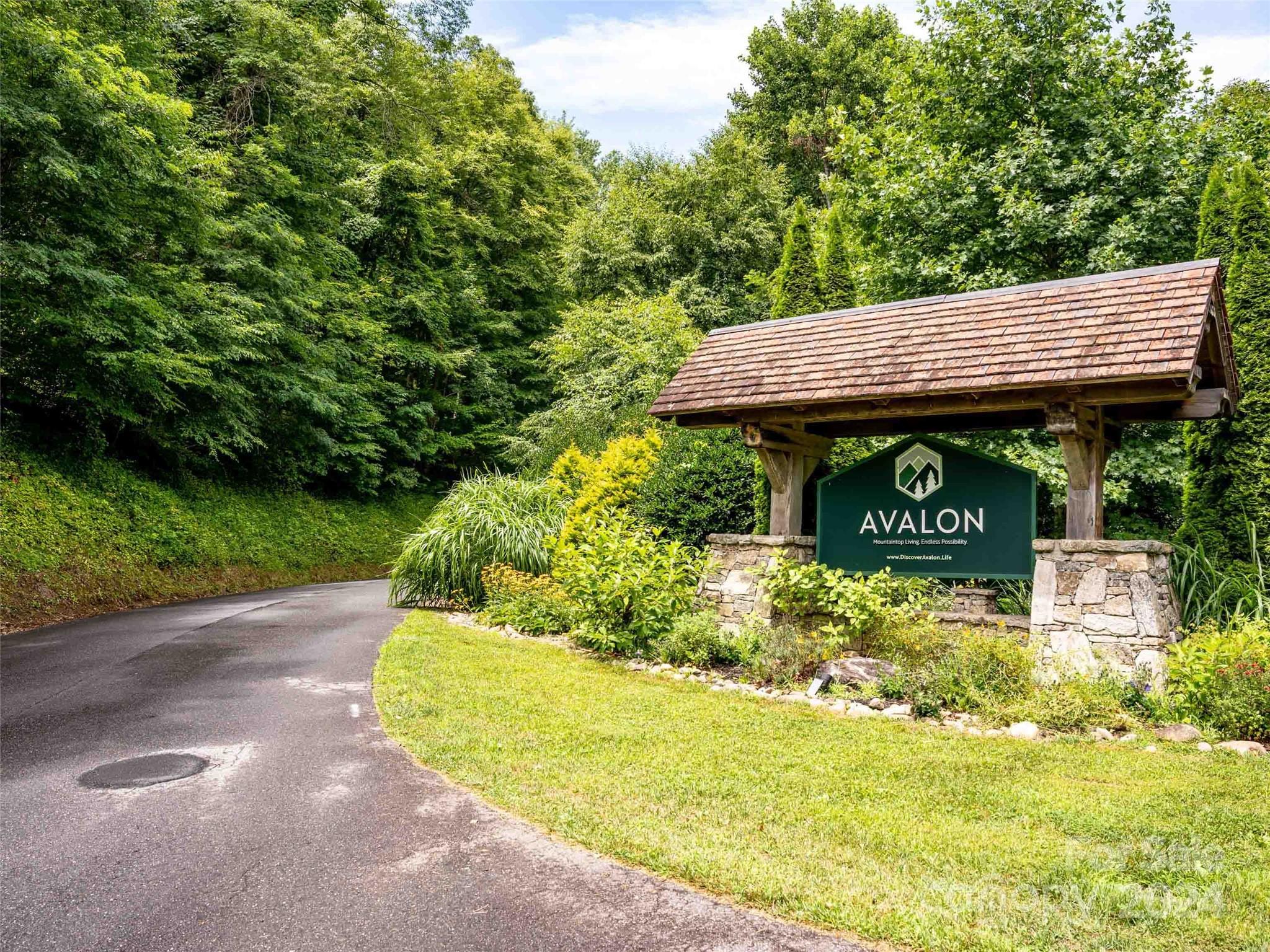 32 Tapestry Trail Waynesville, NC 28785 - Photo 27 of 27 a view of a backyard with plants